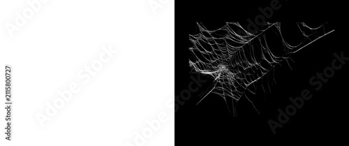 Foto Intricate spider web on black background, delicate white cobweb texture, spooky