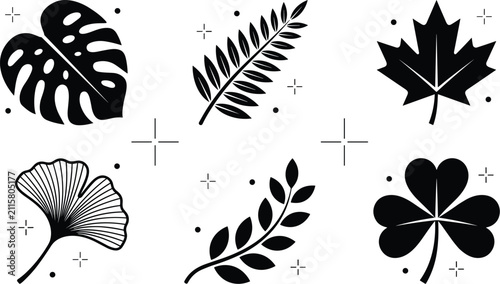 Bild auf Leinwand Set of black leaf silhouettes featuring monstera deliciosa fern frond maple leaf
