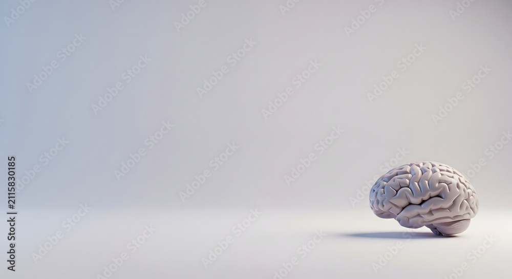Naklejka premium A realistic model of a human brain resting on a neutral gray surface with ample copy space.