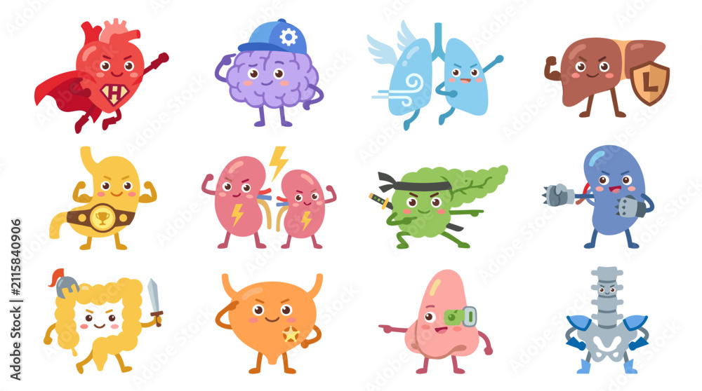 Obraz premium Set of human organ characters in heroic poses, anatomy mascots featuring heart, brain, lungs, liver, stomach, kidneys, spleen, intestine, bladder