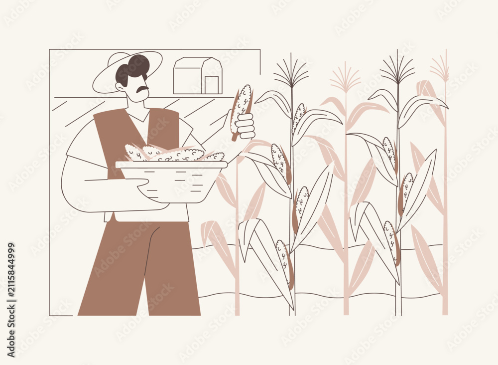 Obraz premium Corn production isolated cartoon vector illustrations.
