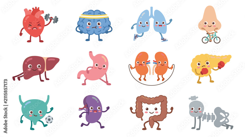 Obraz premium Set of human organ characters exercising, healthy lifestyle anatomy icons, fitness activities, medical health checkup, physical therapy concepts