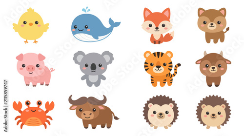 Photography Cute cartoon animal collection