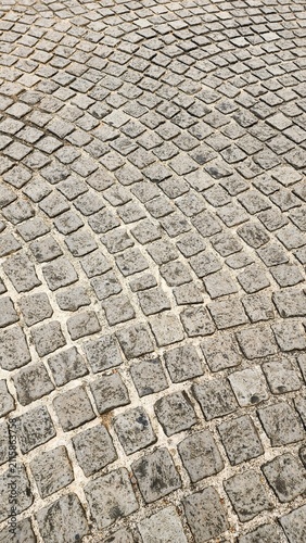 Neatly and symmetrically arranged concrete pavers set amidst a spacious park, bathed in invigorating sunlight—an ideal spot for family recreation and exercise, fostering family bonding and outdoor act