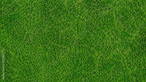 Abstract green grass texture with small brown spots for natural background design