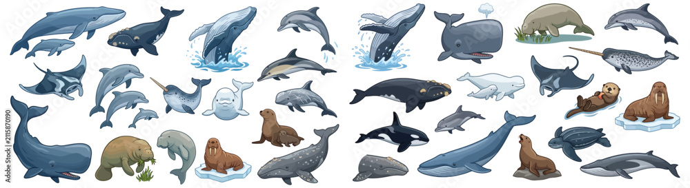 Fototapeta premium Marine Mammal and Ocean Wildlife Icon Set - Vector Collection of Whales, Dolphins, Seals, and Sea Life for Educational and Environmental Design Projects