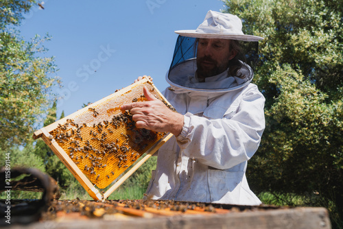 Male beekeeper inspects a honeycomb frame at an outdoor apiary