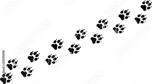 Animal paw prints track silhouette featuring dog cat wolf bear or tiger footsteps vector