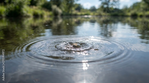 Water ripples from stone splash in forest pond