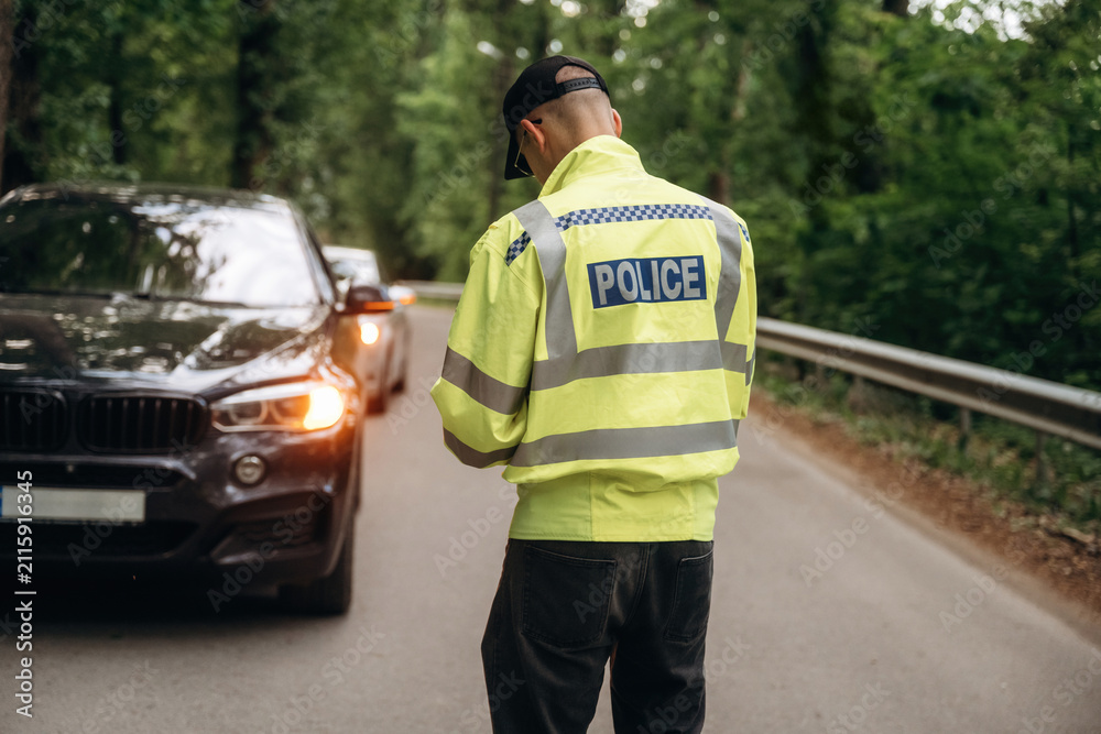 Obraz premium Police officer in reflective yellow jacket stands on roadside checking vehicle details with cars parked in a forested area, trees lining the road