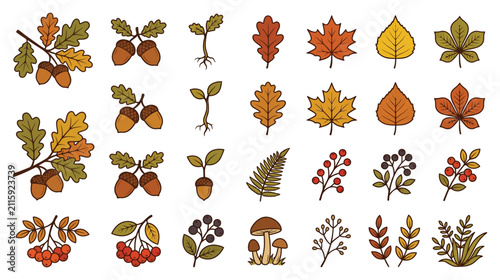 Seasonal autumn leaves and forest plants vector icon set