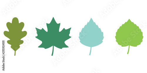Set of four autumn leaves vector illustration isolated on white