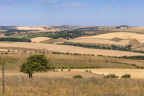 A view over farmland in the South Downs, during a dry summer in Sussex