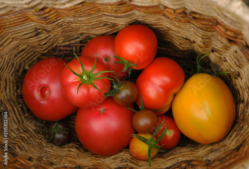 Tomatoes of different colors in a basket