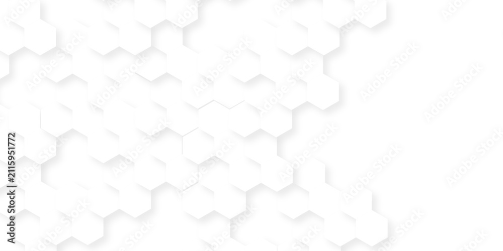 Fototapeta premium Hexagon concept abstract technology wallpaper. Vector illustration isolate on white background. Modern hexagon pattern elements.