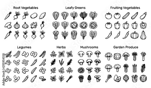 Canvastavla Hand drawn collection of various vegetables legumes herbs and mushrooms categori