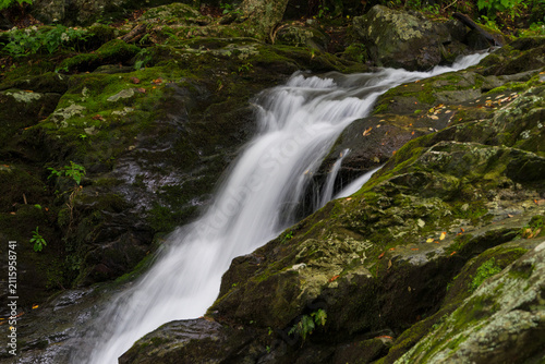 фотографія Nature's tranquility and environmental conservation, waterfall flowing over moss