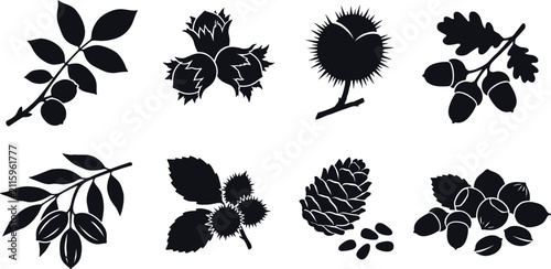 Принти на полотні Vector silhouette set of autumn nuts and seeds featuring acorn hazelnut chestnut
