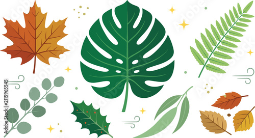 Foto Leaves and Ferns in Autumn and Spring Colors with Decorative Elements Featuring