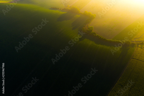 Aerial view of rolling green agricultural fields illuminated by warm golden hour sunlight with long shadows and a line of trees in Kyjov, South Moravian Region, Czechia.