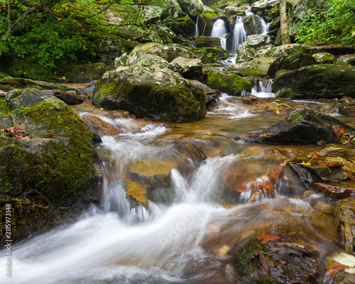 фотографія Nature's tranquility and environmental conservation, flowing stream with mossy r