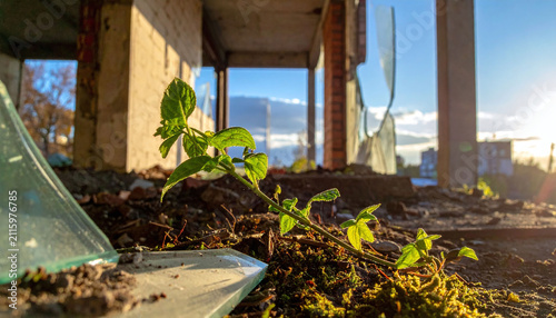 A vibrant green sprout grows from rubble and broken glass inside a ruined, abandoned building at sunset, symbolizing hope, resilience, and life prevailing over destruction. Nobody.