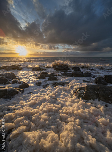 Algal bloom, Marino Rocks, South Australia