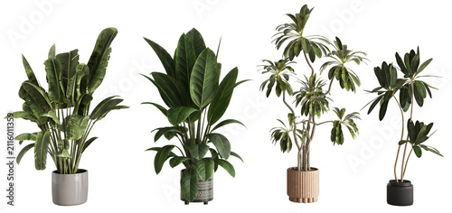 Fotografie Set of four photorealistic 3D renders of tropical houseplants in modern decorati