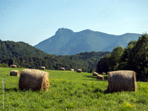 Quadro su tela klek