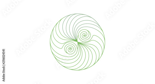 Green swirling spiral shape on white background