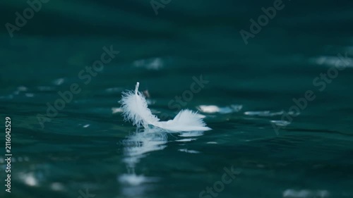 Close-up of white feather drifting across calm water, meditation, relaxation and poetic cinematic view.