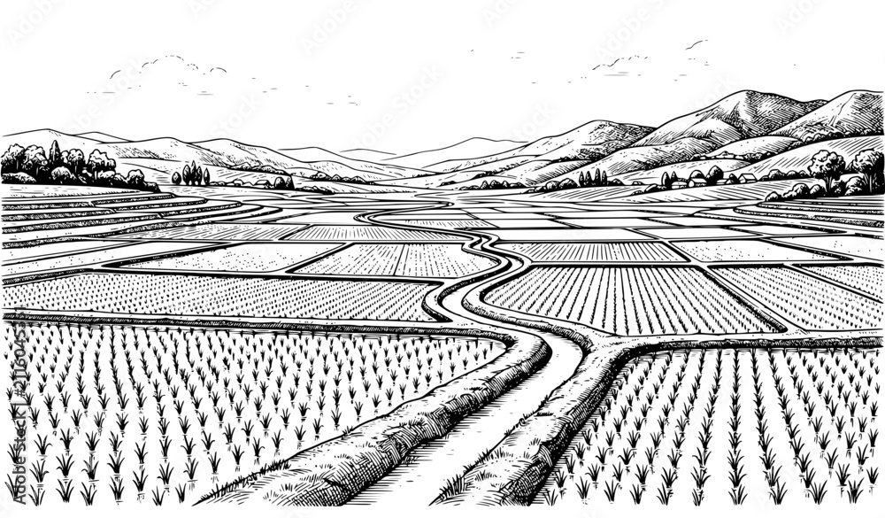 Obraz premium Farmland Landscape with Winding Road Vintage Sketch Illustration, Agricultural Field Engraving Vector