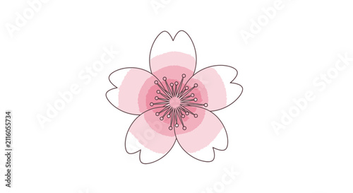 Pink Cherry Blossom Flower Illustration