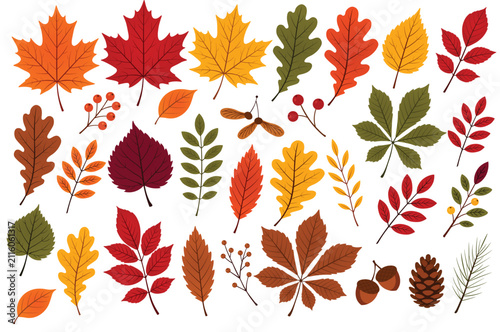 Colorful Autumn Leaves Set in Flat Vector Minimalist Joyful Style