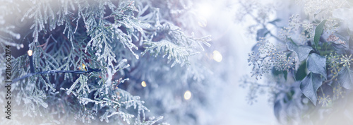 Frosty winter panorama with christmas tree and string light. Festive background with bokeh lights for christmas and new year greetings.