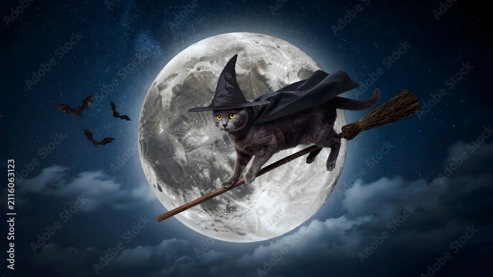Fototapeta premium Cat in witch hat flying on a broomstick. Magical kitten soaring against a full moon.