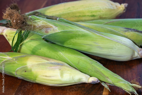 Quadro su tela several freshly harvested ears of corn, completely encased in their vibrant green husks with brown silk exposed, resting on a rustic dark wooden surface
