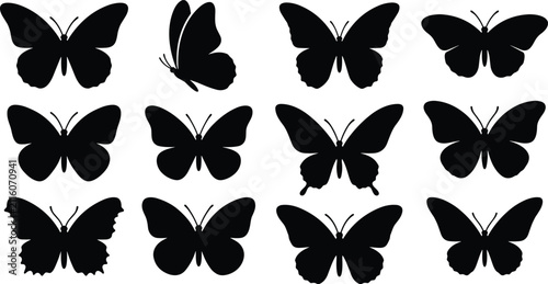 Butterfly Silhouette Collection with Flying Butterfly Shapes Isolated on White Background Vector Set