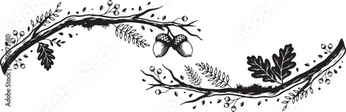 Three botanical branches including oak with acorns and a fern leaf illustrated in a graffiti black and white ink style on a white background