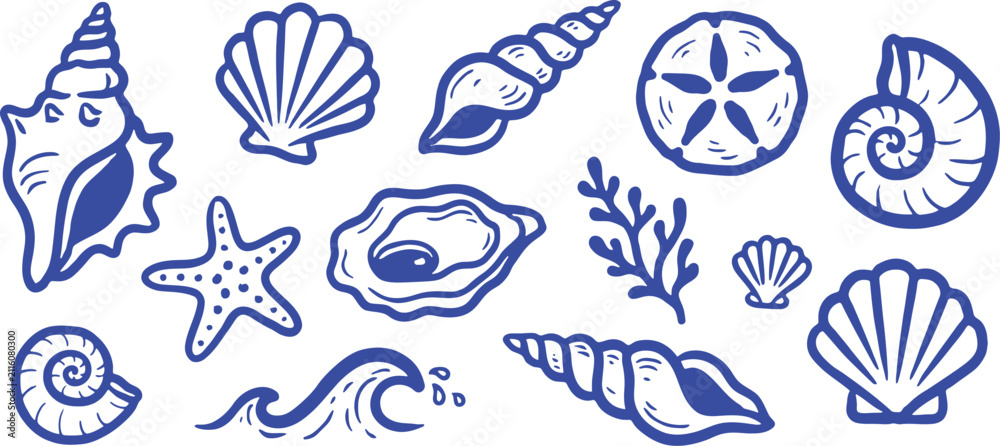 Obraz premium Nautical seashell line art icons, blue sea shell vector set, beach ocean life Hand drawn