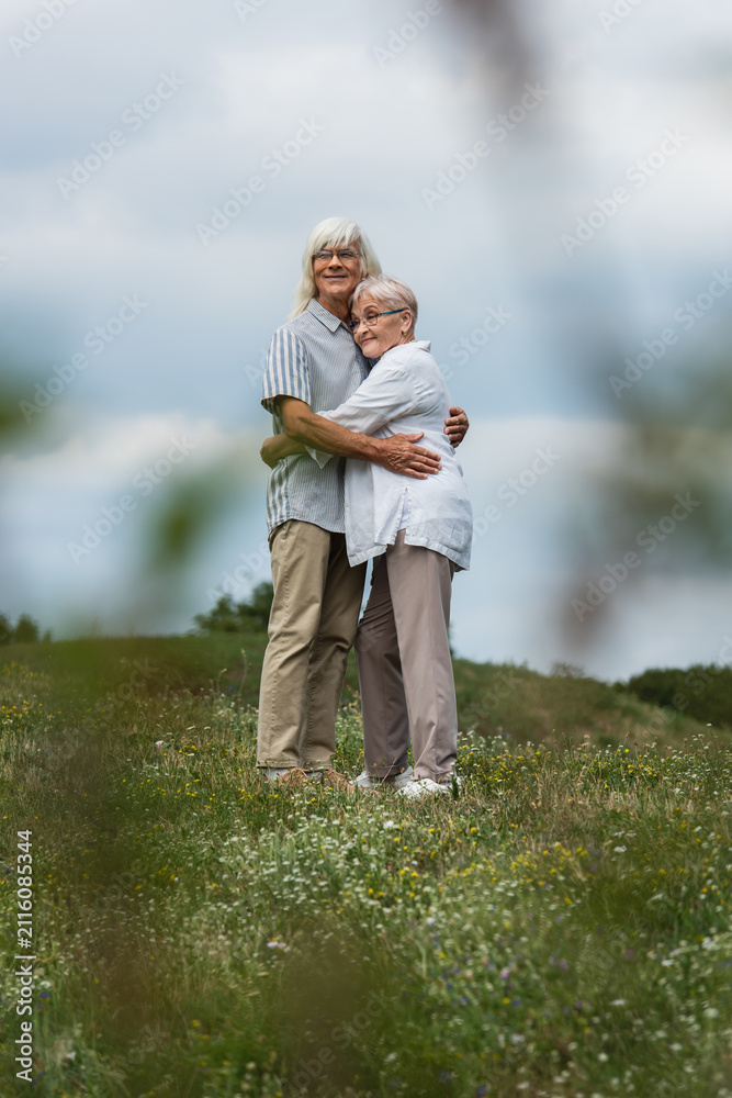 Fototapeta premium Loving seniors enjoying a moment of joy together on a grassy hilltop