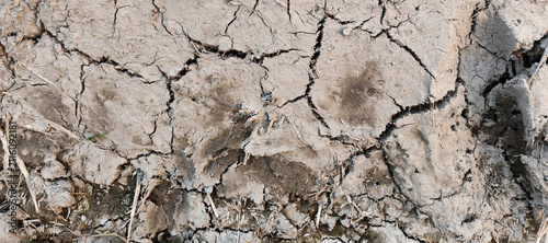 dry cracked soil