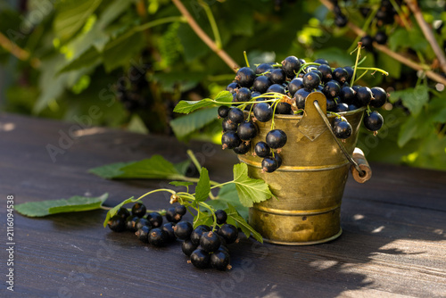 Blackcurrants in metal bucket on wooden table