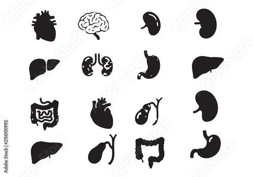 human organs medical icon set: