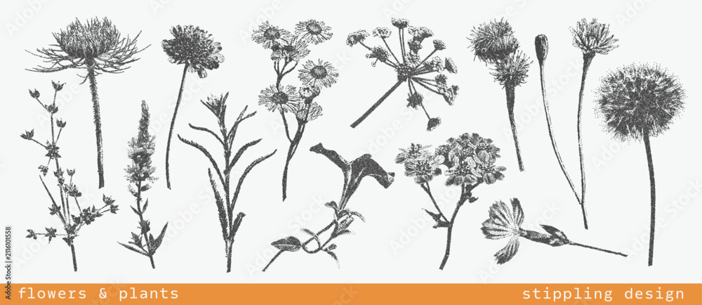 Fototapeta premium Vintage botanical set of various flowers and plants with grunge photocopy effect. Retro dotted texture illustrations. Nature floral design. Trendy stippling grainy art in halftone tones