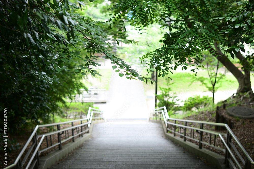Fototapeta premium 亥鼻公園の階段
