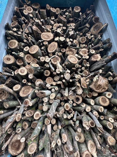 walnut logs sorted into the woodshed for the winter