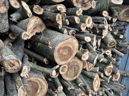 Sorted nut-sized logs for stove heating