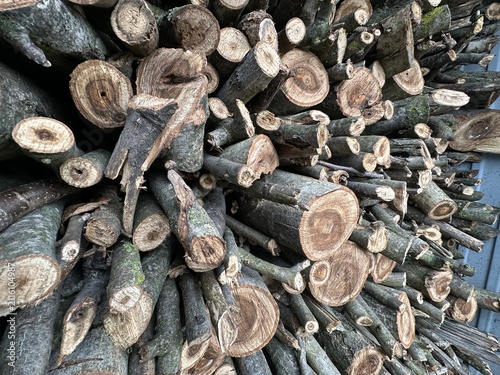 Sorted nut-sized logs for stove heating