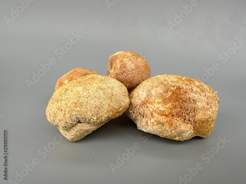 handfuls of dried Lion's Mane a medicinal nootropic mushroom
